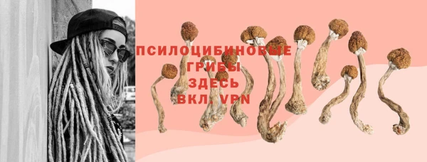 мескалин Балахна