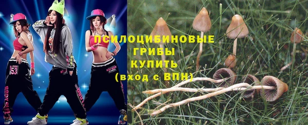 мескалин Балахна