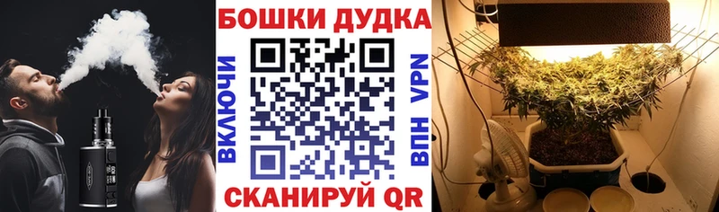 darknet официальный сайт  продажа наркотиков  Снежинск  Конопля LSD WEED 